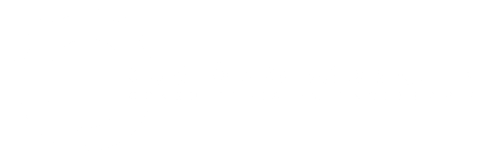 LOGO HORIZONTAL BRANCO ai